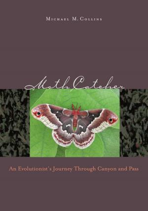 Cover of the book Moth Catcher by Joseph P. Sánchez