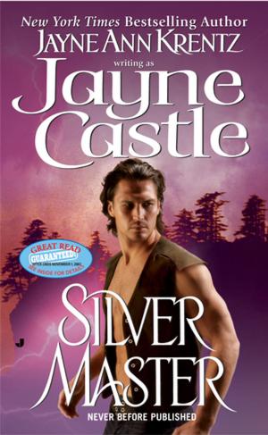 Cover of the book Silver Master by JC Wardon