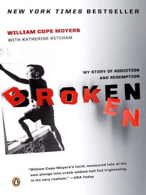 Cover of the book Broken by Daphne Tarango