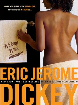 bigCover of the book Waking with Enemies by 