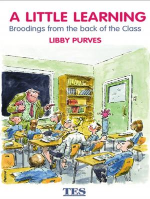 Cover of the book A Little Learning by John Paul Kawalek