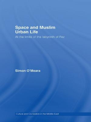 Cover of the book Space and Muslim Urban Life by Sandy Rapp