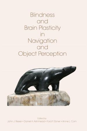 Cover of the book Blindness and Brain Plasticity in Navigation and Object Perception by Mervyn Matthews