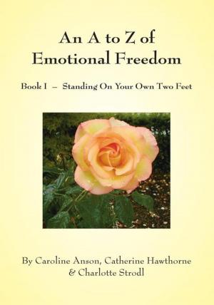 Cover of the book An a to Z of Emotional Freedom by R. Evans Pansing