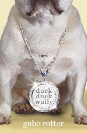 Cover of the book Duck Duck Wally by David McRobbie
