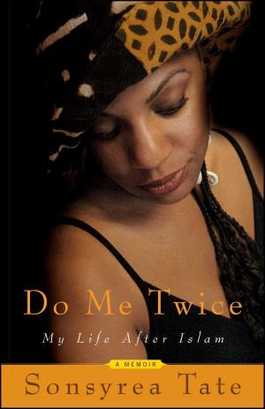 Cover of the book Do Me Twice by Harold L. Turley II