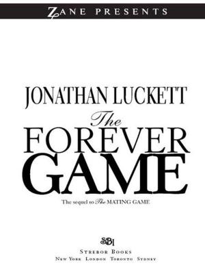 bigCover of the book The Forever Game by 