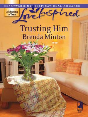 Cover of the book Trusting Him by Janet Tronstad