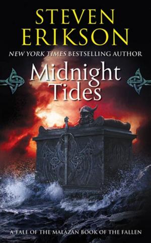 Cover of the book Midnight Tides by Dan Wells