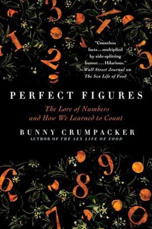 Cover of the book Perfect Figures by Tracy Quinn McLennan