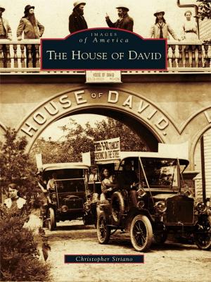 Cover of the book The House of David by Carolyn E. Potser, John T. Pilecki, Nancy Walp Bosworth