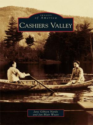 Book cover of Cashiers Valley