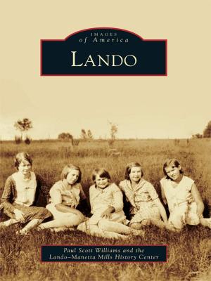 Cover of the book Lando by Amron Gravett, Christine Robinette