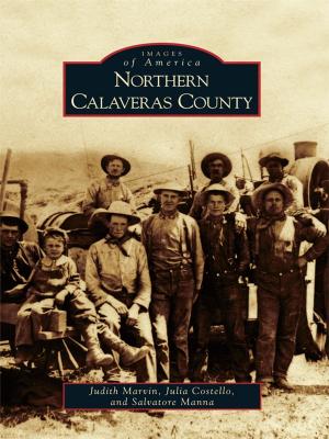 Book cover of Northern Calaveras County