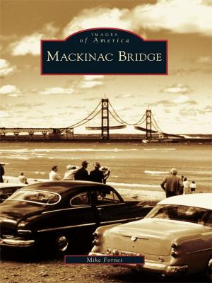 Cover of the book Mackinac Bridge by Sue Maden, Rosemary Enright, Jamestown Historical Society