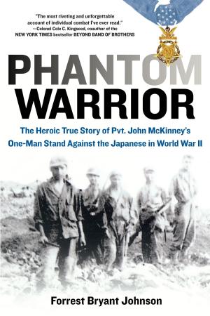 Cover of the book Phantom Warrior by Lauren Jameson