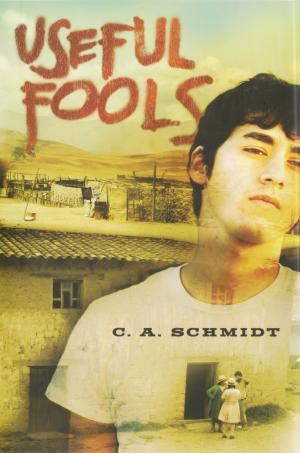 Cover of the book Useful Fools by David A. Adler