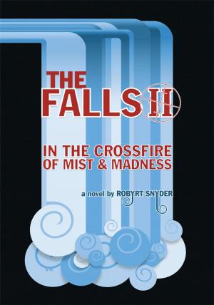 Cover of The Falls Ii by Robert Sneider, Trafford Publishing