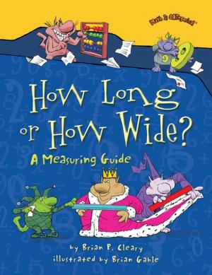 Cover of the book How Long or How Wide? by Brenna Yovanoff, Tessa Gratton