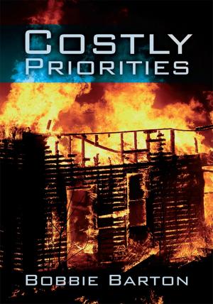 Book cover of Costly Priorities