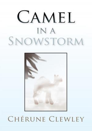Cover of the book Camel in a Snowstorm by Edward W. Stepnick