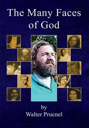 bigCover of the book The Many Faces of God by 