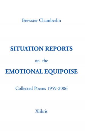 Book cover of Situation Reportson Theemotional Equipoise