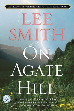 Book cover of On Agate Hill