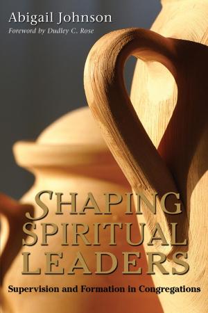 Cover of the book Shaping Spiritual Leaders by Lawrence J. Epstein