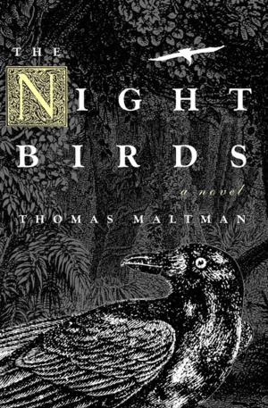 Cover of the book The Night Birds by Akimitsu Takagi