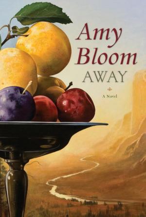 Book cover of Away