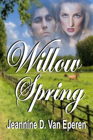 Cover of the book Willow Spring by Anthony Mauro