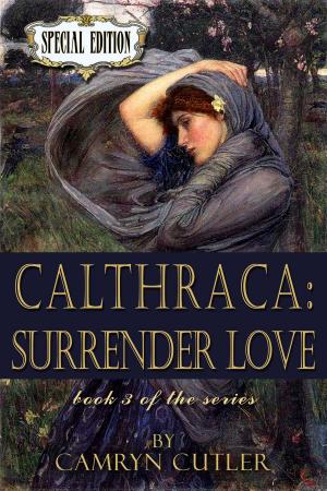 Cover of the book Surrender Love by C.L. Scholey