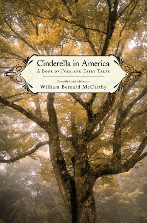 Cover of the book Cinderella in America by Dominik Ruder