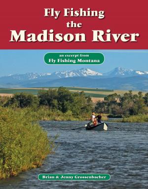Cover of the book Fly Fishing the Madison River by Ken Hanley
