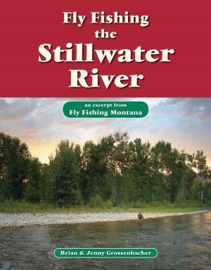 Book cover of Fly Fishing the Stillwater River