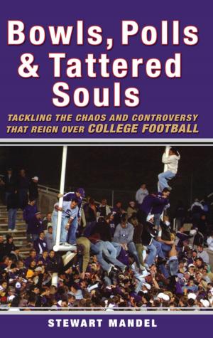 Cover of the book Bowls, Polls, and Tattered Souls by Michael Paymar, MPA