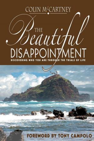 bigCover of the book The Beautiful Disappointment by 
