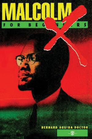 Cover of the book Malcolm X For Beginners by David Cogswell