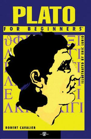 Cover of the book Plato For Beginners by W. Terrence Gordon