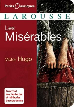 Cover of the book Les misérables by Christine Palluy