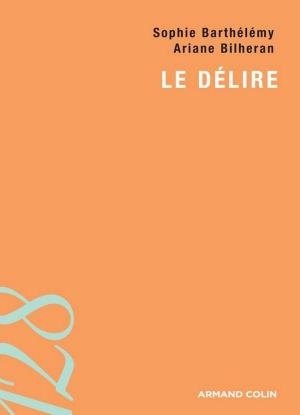 Cover of the book Le délire by Jean-Louis Pedinielli, Guy Gimenez