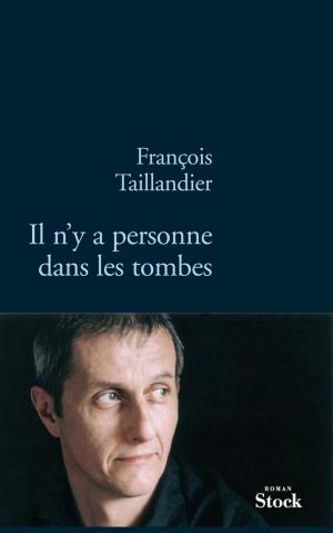 Cover of the book Il n'y a personne dans les tombes by Justine Lévy