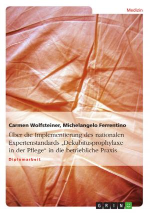 Book cover of Über die Implementierung des nationalen Expertenstandards 'Dekubitusprophylaxe in der Pflege' in die betriebliche Praxis