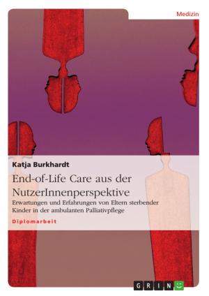 Cover of the book End-of-Life Care aus der NutzerInnenperspektive by Alexander Liebram