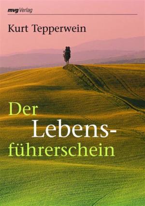Cover of the book Der Lebensführerschein by Kurt Tepperwein