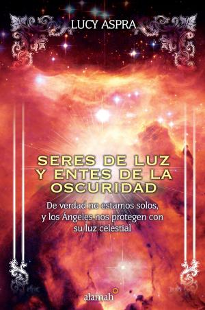 Cover of the book Seres de luz y entes de la oscuridad by Claudia Rampazzo