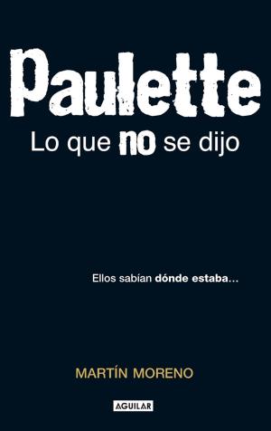 Cover of the book Paulette. Lo que no se dijo by Ramón Méndez López