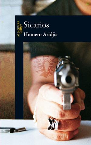 Cover of the book Sicarios by Gabriel Rodríguez Liceaga