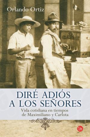 Cover of the book Diré adiós a los señores by Gaby Vargas